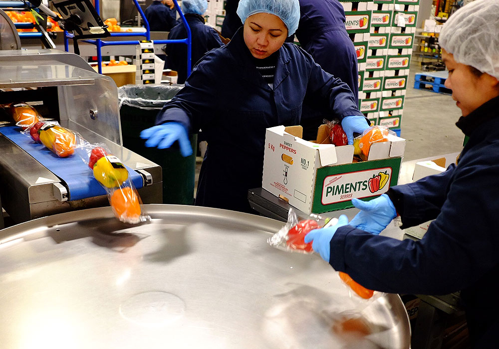 Workers at our west Edmonton produce facility