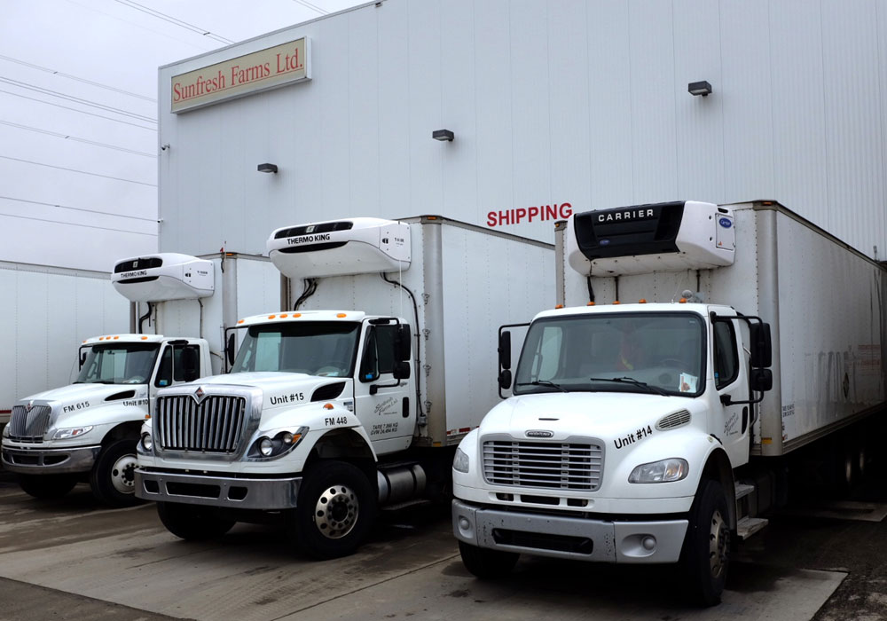 Our fleet includes 3 tractors, four trailers and four 5 ton trucks